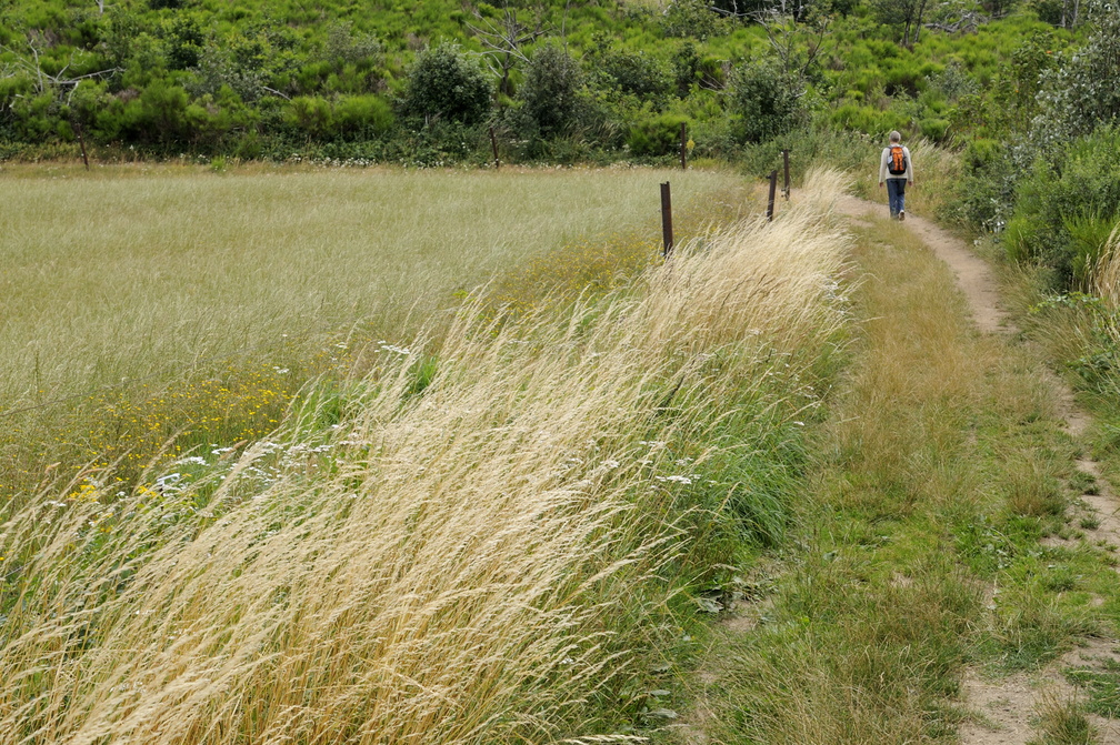 Et marche, marche dans la campagne tranquille