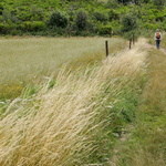 Et marche, marche dans la campagne tranquille