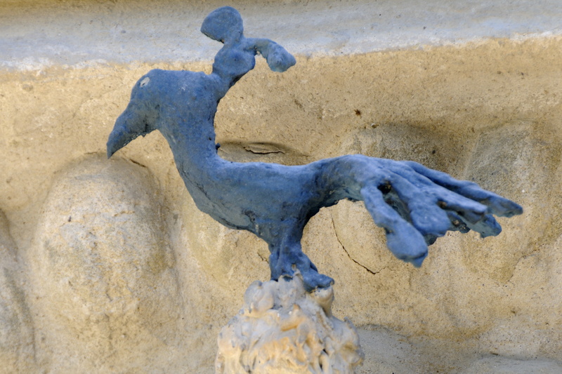 L'oiseau de Paradis