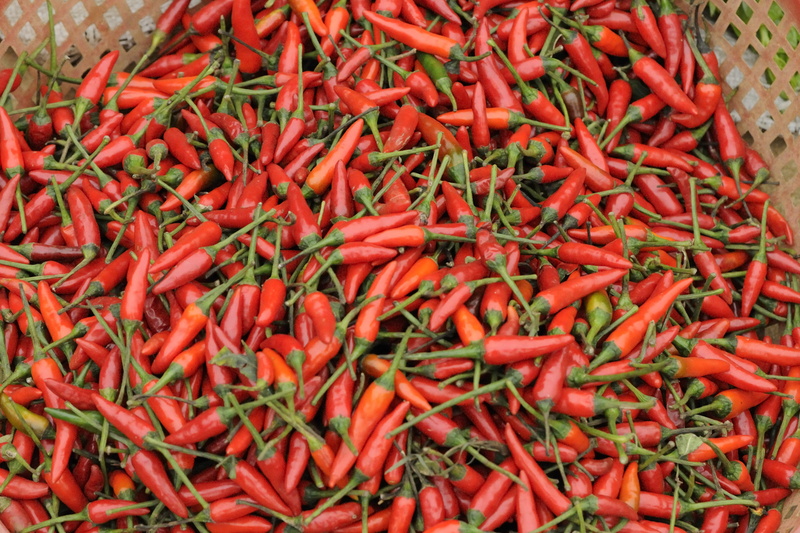 Piments rouges