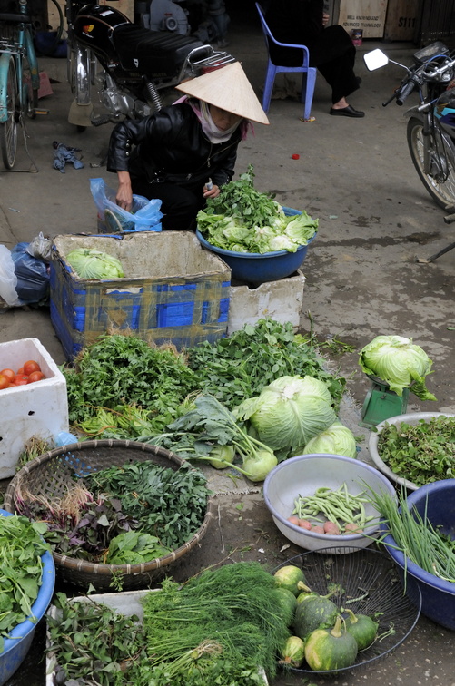 Légumes du jardin