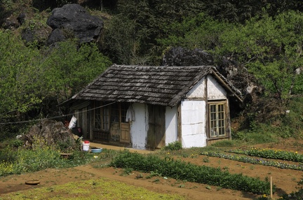 Petite maison (traditionnelle ?)