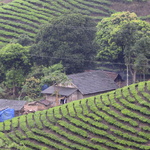 Maison au creux des collines