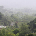 Pluie, collines, bambous