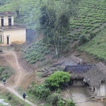 Maisons sous la pluie