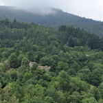 Ferme isolée dans les bois