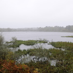 Les marais de Suscinio