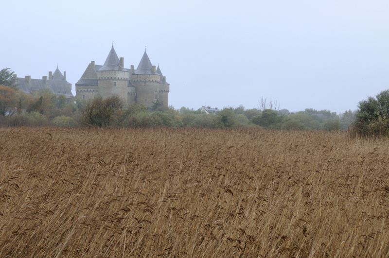 Le Château de Suscinio, entre marais et océan