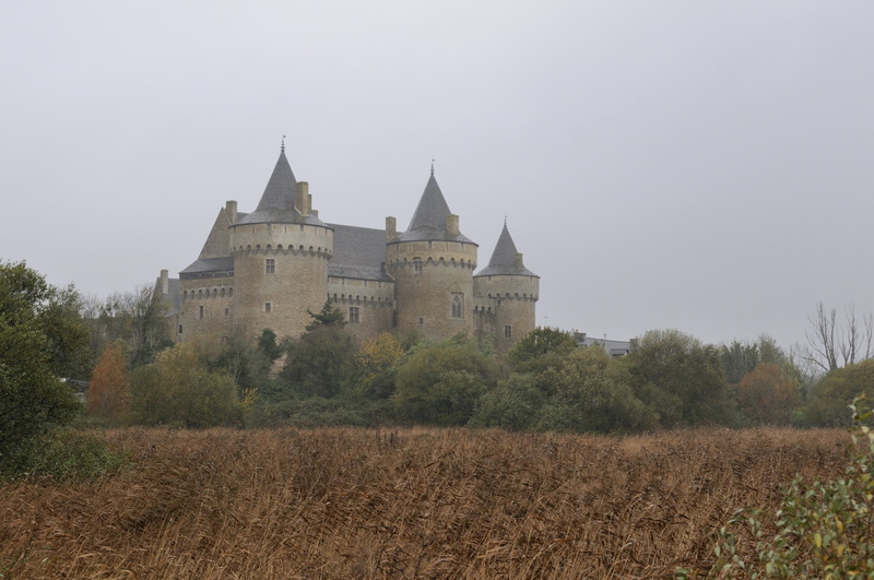 Tours et roseaux