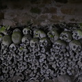 Crânes de l'ossuaire de Trégornan