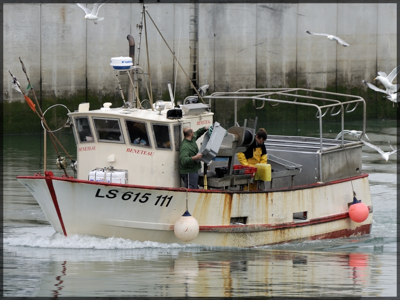 Retour au port