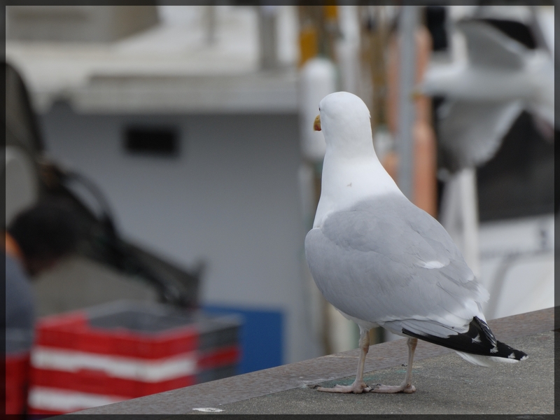 Que se passe-t-il sur ce bateau ?