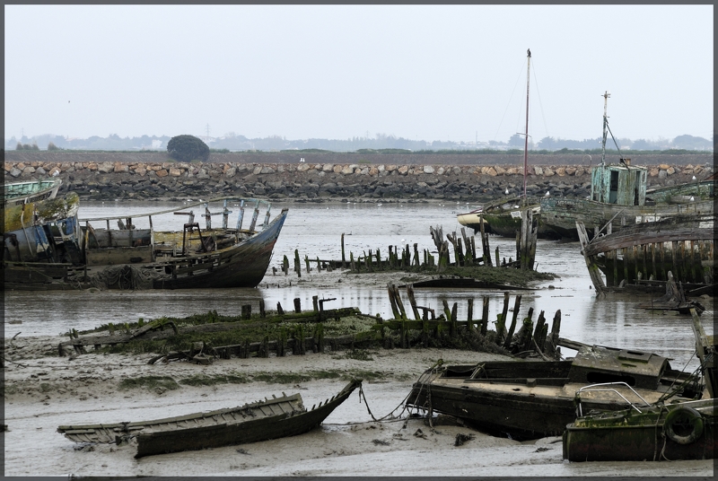 Squelettes de bateaux à Noirmoutier