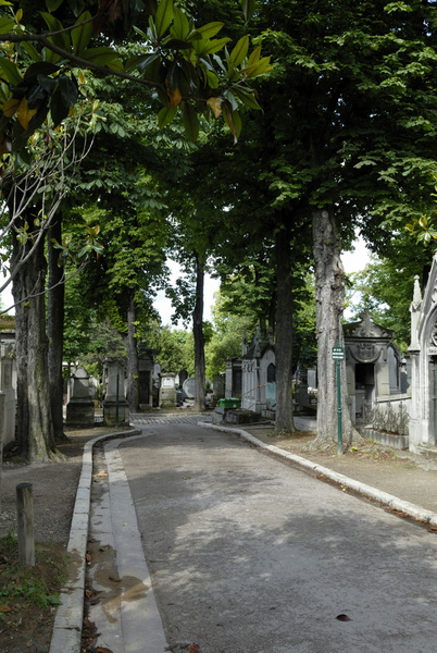 Avenue des combattants étrangers morts pour la France