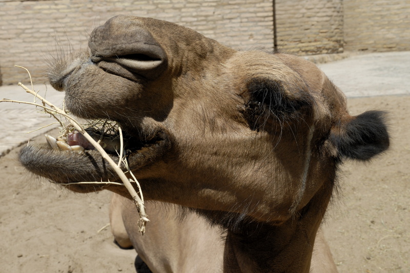 En attendant, je mange