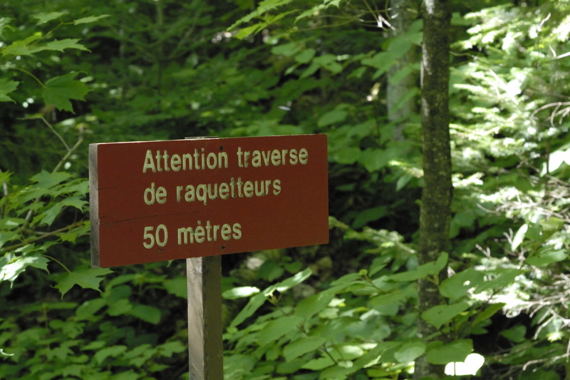 Attention, traverse de raquetteurs (... à neige)