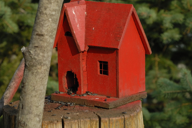 Maison rouge à écureuils