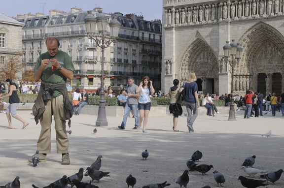 Un ami des pigeons