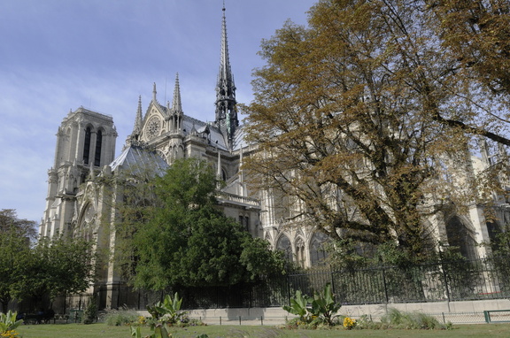 Bananiers (si l'on regarde bien) et Notre-Dame