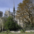 Bananiers (si l'on regarde bien) et Notre-Dame