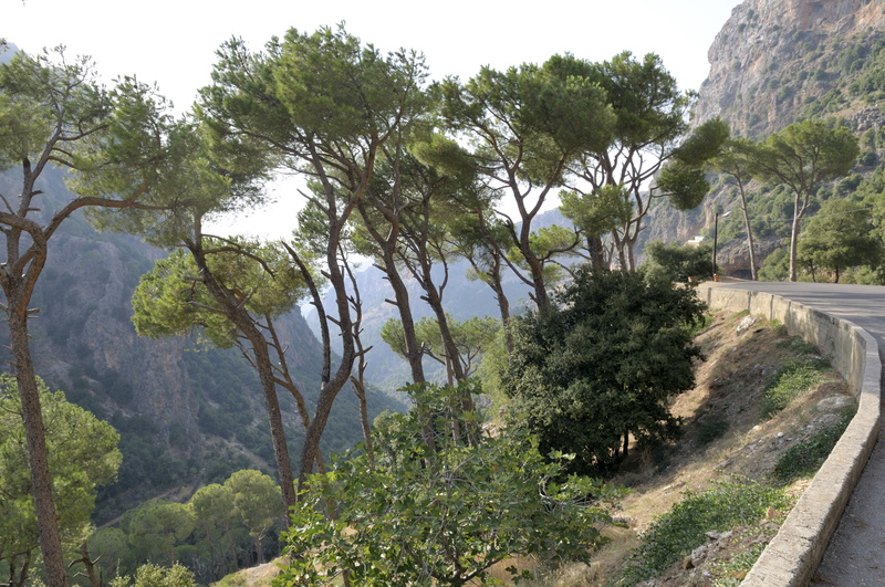 Sur la route de Saint-Antoine de Kazhaya