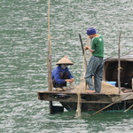 Pêche au filet dans la baie d'Along