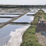 Les marais salants de Guérande