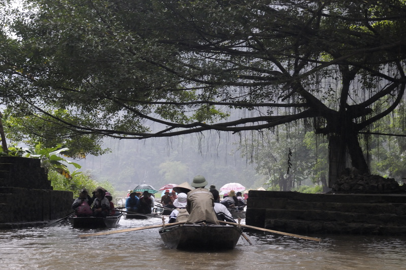 Passage sous un grand banian (sous la pluie aussi)