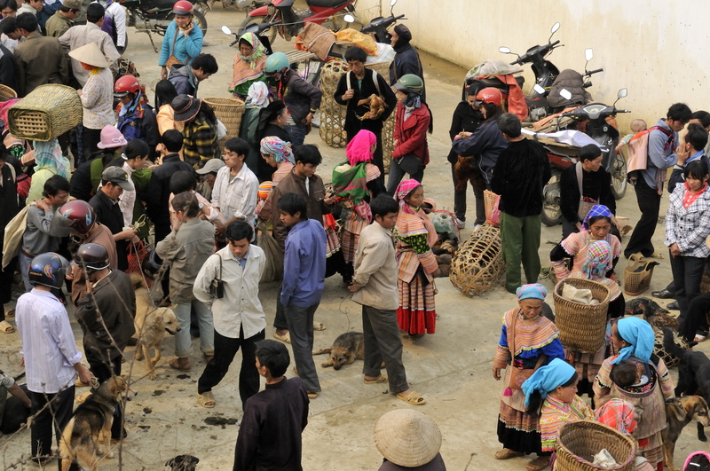 Le marché aux chiens (miam, miam...)