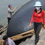 Un sampan est goudronné puis repeint