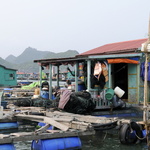 Les filets de pêche sèchent