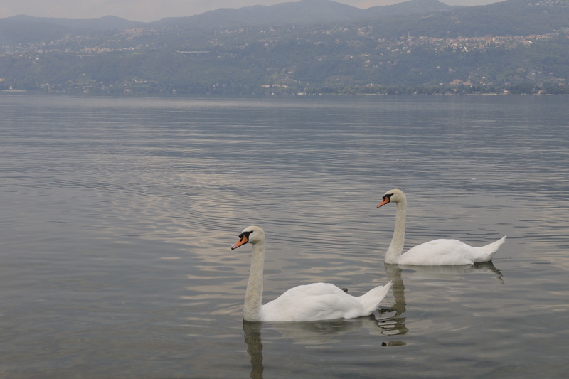 Petite ballade en couple