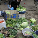 Légumes du jardin