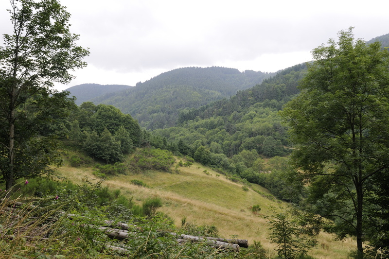 La Cance coule au fond du vallon