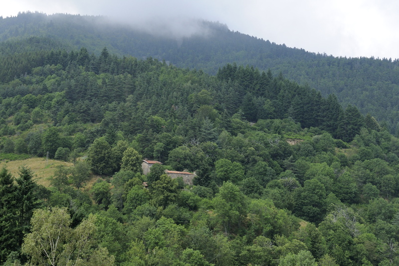 Ferme isolée dans les bois