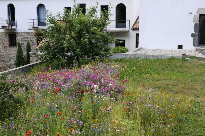 Jardin en fleurs
