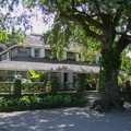 DSC00367